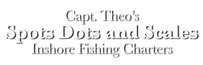 Charter Fishing Mobile Alabama | Daphne, Fairhope, Gulf Shores, Foley, Dauphin Island